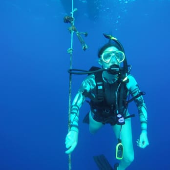 Dive Oahu - Snorkeling Near Me - Honolulu, Hawaii