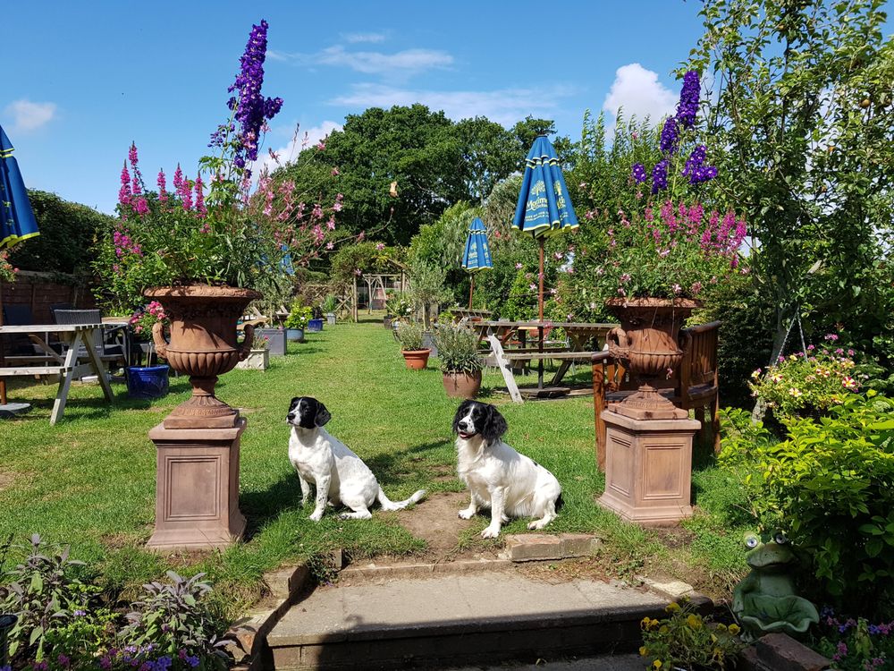 THE WHEATSHEAF PUB HENFIELD Updated September 2024 Wheatsheaf Road