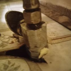 Rapid Repair