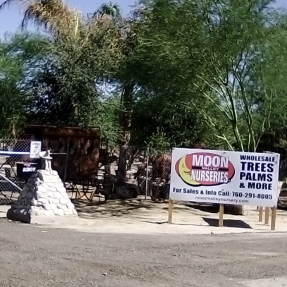 Moon Valley Nurseries - Entrance - Nurseries & Gardening Near Me - Coachella, California Moon Valley Nurseries - Entrance - Nurseries & Gardening Near Me - Coachella, California