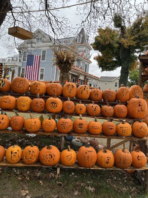 Kenova's Pumpkin House by null