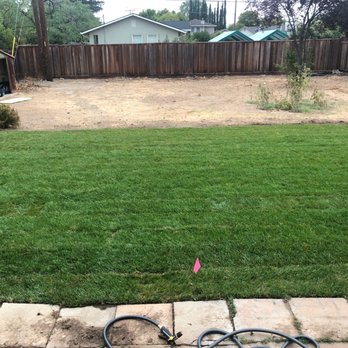 Grass Farm - Nurseries & Gardening Near Me - Morgan Hill, California Grass Farm - Nurseries & Gardening Near Me - Morgan Hill, California