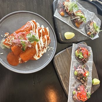Tamayo - Mahi Mahi Tacos, Carne Asada Tacos, Shrimp Enchiladas - Mexican Near Me - Denver, Colorado Tamayo - Mahi Mahi Tacos, Carne Asada Tacos, Shrimp Enchiladas - Mexican Near Me - Denver, Colorado