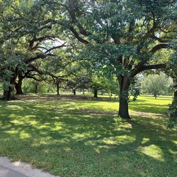 Audubon Park - Magnificent oak trees - Parks Near Me - New Orleans, Louisiana Audubon Park - Magnificent oak trees - Parks Near Me - New Orleans, Louisiana