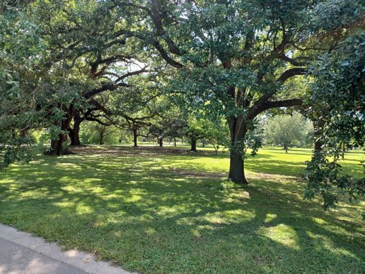 Audubon Park Loop by null