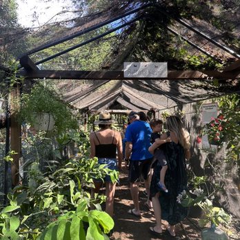 The Maui Butterfly Farm - Everyone walks through a structure with netting where the butterflies live. - Botanical Gardens Near Me - Lahaina, Hawaii The Maui Butterfly Farm - Everyone walks through a structure with netting where the butterflies live. - Botanical Gardens Near Me - Lahaina, Hawaii