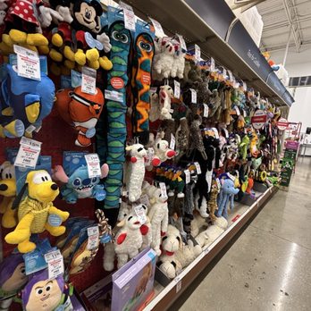 PetSmart - Pet Training Near Me - Orlando, Florida