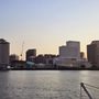 Photo of Friend Of The Ferry