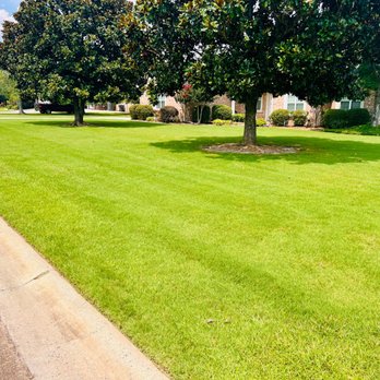 Roots Turf & Ornamental - Landscaping Near Me - Bonaire, Georgia Roots Turf & Ornamental - Landscaping Near Me - Bonaire, Georgia