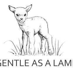Gentle Chiropractic Wellness