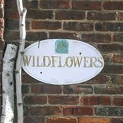 Wildflowers Of Princeton Junction