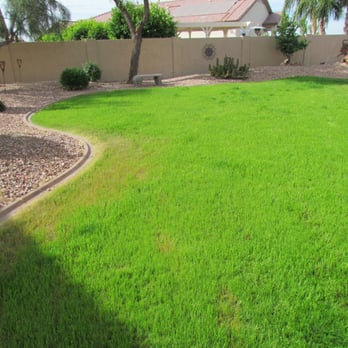 Burns Pest Elimination - Dead grass along the periphery of the lawn from weed killer sprayed by a novice - Pest Control Near Me - Tucson, Arizona Burns Pest Elimination - Dead grass along the periphery of the lawn from weed killer sprayed by a novice - Pest Control Near Me - Tucson, Arizona