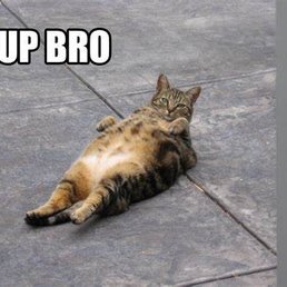 Sup bro Sup bro