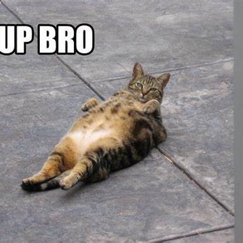 Chick-fil-A - Sup bro - Fast Food Near Me - Phoenix, Arizona Chick-fil-A - Sup bro - Fast Food Near Me - Phoenix, Arizona