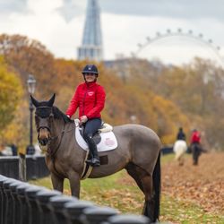 Hyde Park Stables