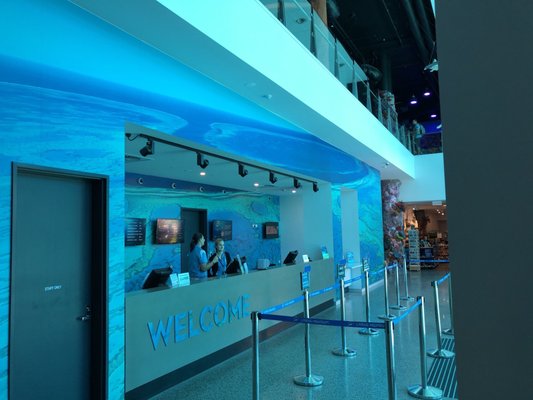 Cairns Aquarium by null