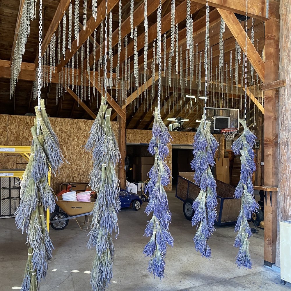 B & B Family Farm - Walking Tours Near Me - Sequim, Washington B & B Family Farm - Walking Tours Near Me - Sequim, Washington