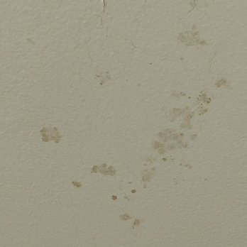 Radisson Hotel Duluth-Harborview - Bathroom ceiling, previously reported by another guest - Hotels Near Me - Duluth, Minnesota