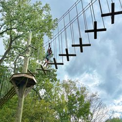 Go Ape Zipline & Adventure Park