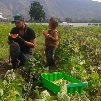 Solidarity Farm - Fresh from the field flavors can't be beat! - Farmers Market Near Me - Pauma Valley, California Solidarity Farm - Fresh from the field flavors can't be beat! - Farmers Market Near Me - Pauma Valley, California