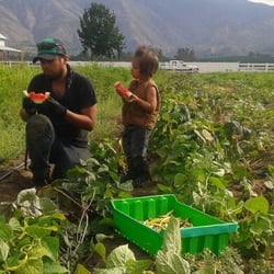 Solidarity Farm - Fresh from the field flavors can't be beat!