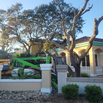 Precision Tree And Dumpster Services - Tree Services Near Me