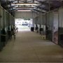 Photo of Anvil Acres Stables