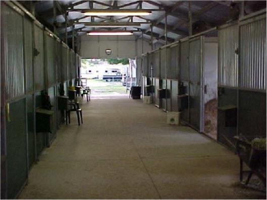 Anvil Acres Stables - equestrian in Pinellas Park, FL