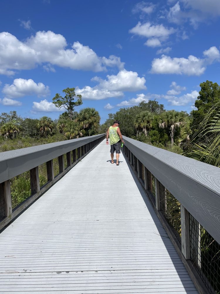 Werner Boyce Salt Springs State Park Image