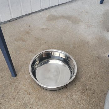 Hissy Fit - Water bowl for the doggie - Southern Near Me - Austin, Texas