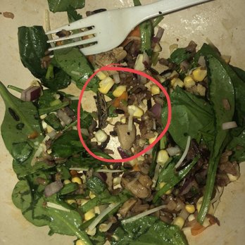 sweetgreen - Healthy Salads, Wraps, and Bowls - Bug in my salad - Salad Near Me - Silver Spring, Maryland