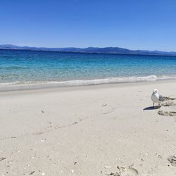 Praia de Rodas