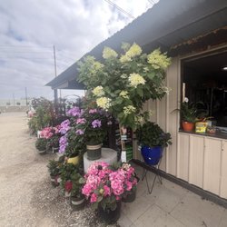 Certified Plant Growers