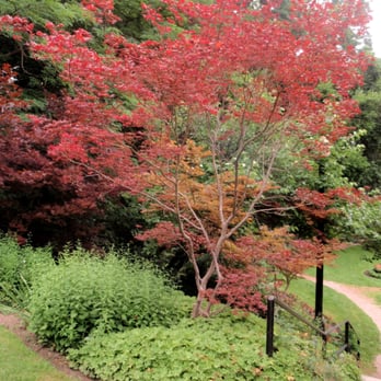 Alexander Muir Memorial Gardens - Parks Near Me - Toronto, Ontario Alexander Muir Memorial Gardens - Parks Near Me - Toronto, Ontario