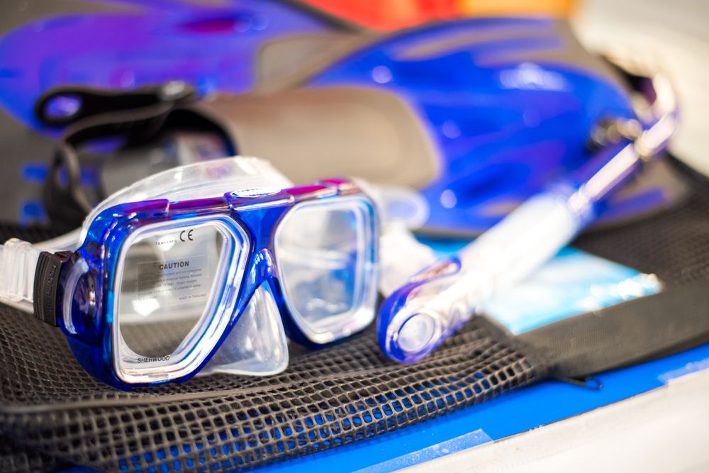 DIVE DIVE DIVE Updated September 2024 25 Photos & 12 Reviews 4850