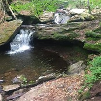 Ricketts Glen State Park - Parks Near Me - Benton, Pennsylvania