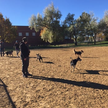 Fuller Dog Park - Sunny day ~9:30am - Dog Parks Near Me