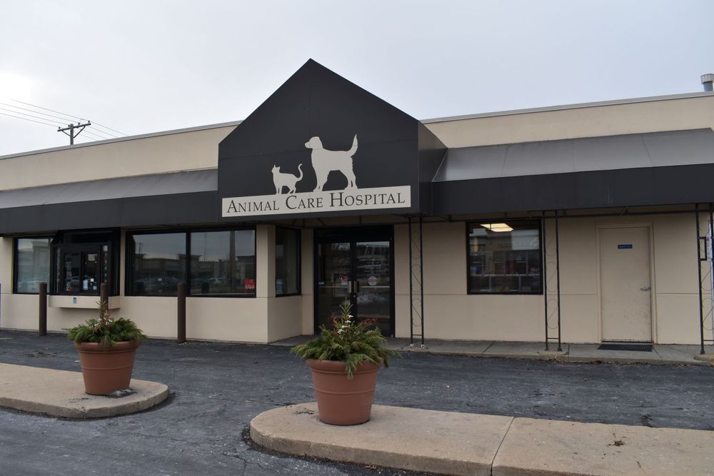 Animal Care Hospital - pet boarding facility in Cedar Rapids, IA