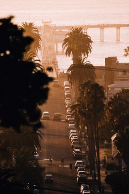 OB Beans Coffee Roasters by null