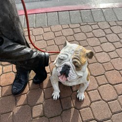 Bullman With Bulldog