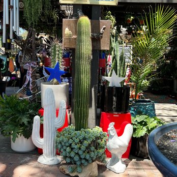 Norens Nursery - This guy standing tall - Nurseries & Gardening Near Me - Claremont, California Norens Nursery - This guy standing tall - Nurseries & Gardening Near Me - Claremont, California