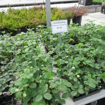Tony's Garden Center - Nurseries & Gardening Near Me - Portland, Oregon Tony's Garden Center - Nurseries & Gardening Near Me - Portland, Oregon