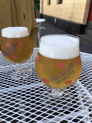 The Fox Hotel | Pub Collingwood by null