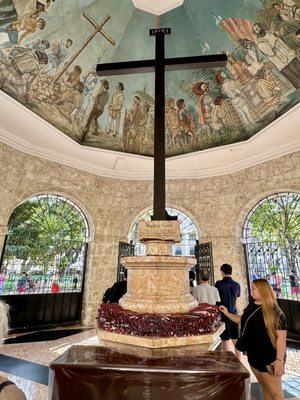 Magellan's Cross by null