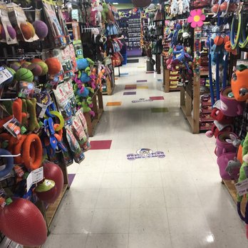 The Yuppy Puppy - Pet Groomers Near Me - Spokane, Washington