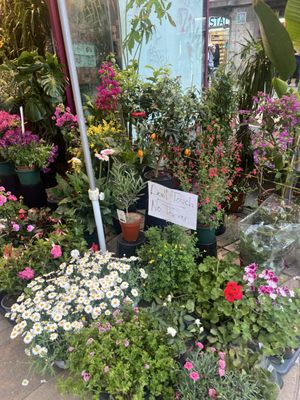 Barcelona Cooking by null