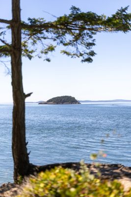 Deception Pass State Park by null
