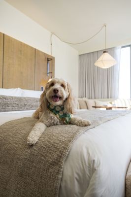 1 Hotel Seattle by null