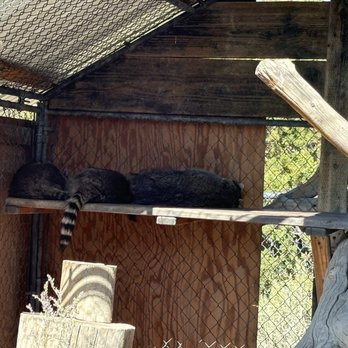 Animal Ark - Zoos Near Me - Reno, Nevada