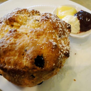 Tea Time - raisin scone! - Coffee & Tea Near Me - Palo Alto, California Tea Time - raisin scone! - Coffee & Tea Near Me - Palo Alto, California